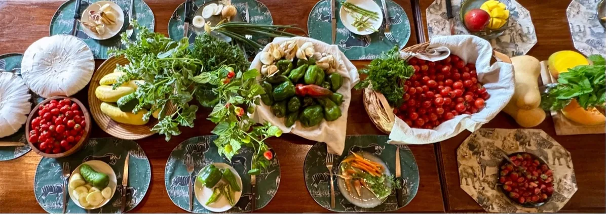 Lunch spread